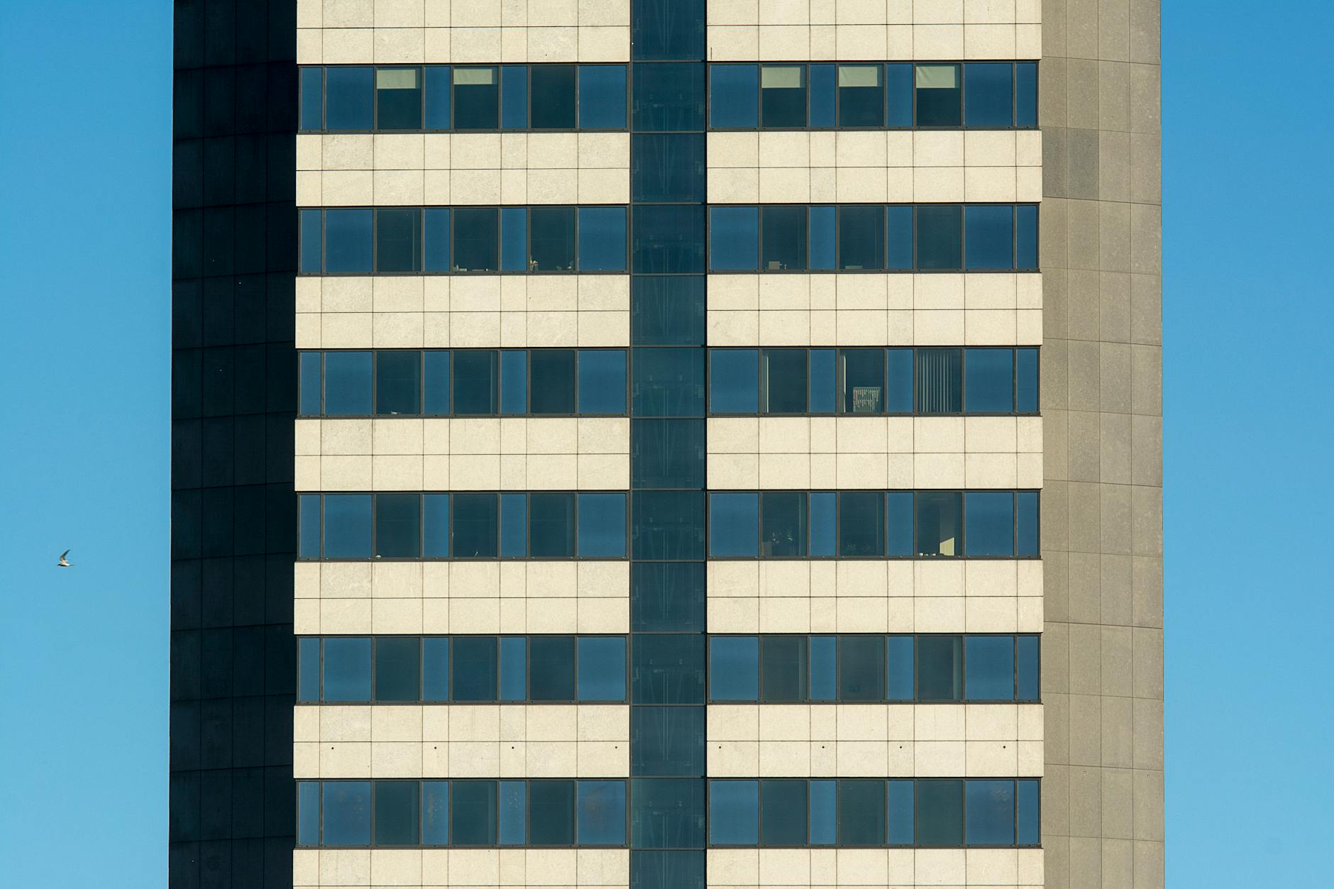 Image for Suffolk Axes 20-Year Union Contract for GOP-Connected Firm